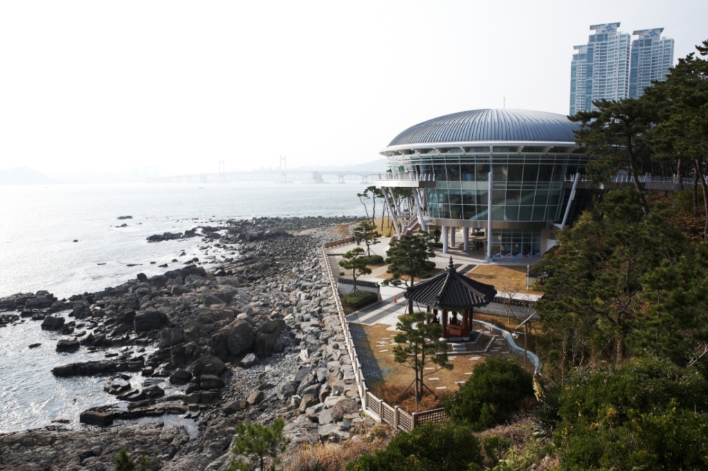 Dongbaekseom Island: Where Nature Meets Modern Busan