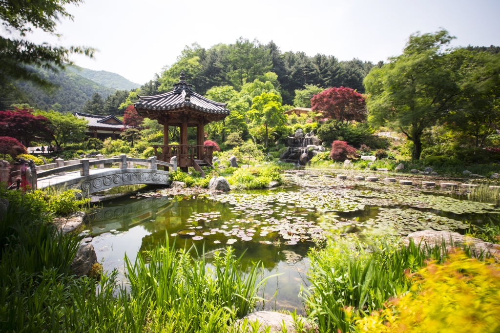 The Garden of Morning Calm: A Serene Escape in Korea’s Countryside