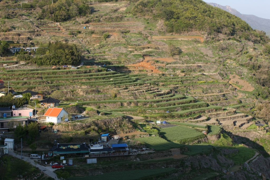 Explore the Enchantment of Daraengi Village in Namhae