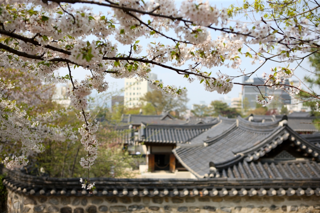 Discover the Charm of Namsangol Hanok Village