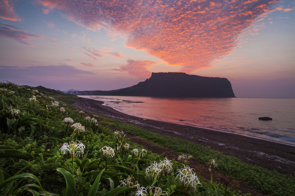 Discovering Jeju Island: Korea’s Natural Gem