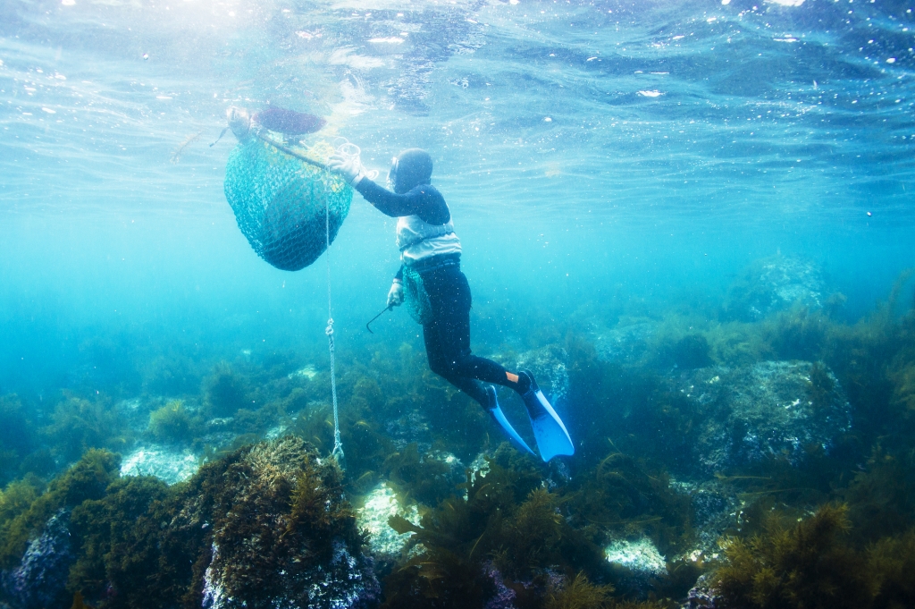 Celebrated Haenyeo Divers: Jeju’s Living Tradition