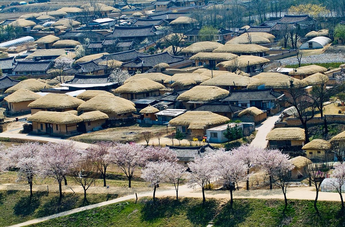 Explore Andong Hahoe Folk Village: A Journey Through Heritage