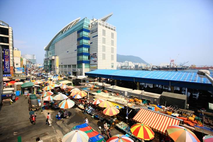 Exploring Jagalchi Market: Busan’s Seafood Haven